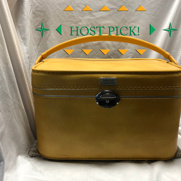 amelia earhart train case